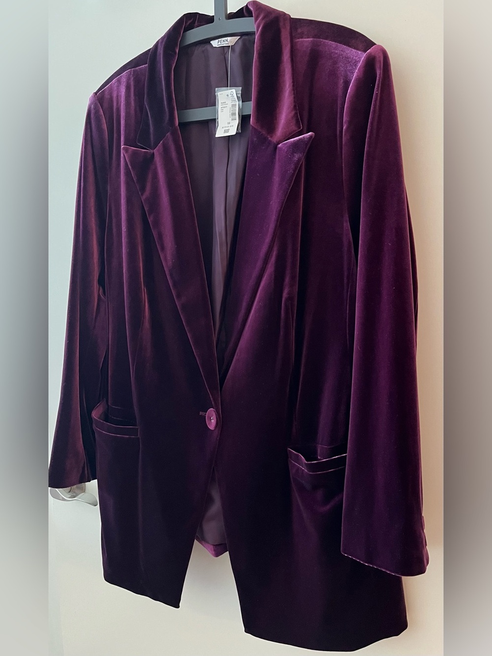 BNWT - PENN velvet blazer in deep plum, size 22